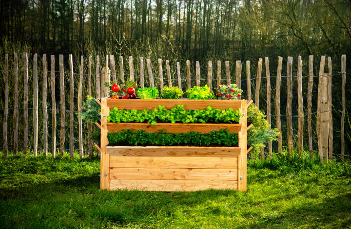 WESTMANN Hochbeet Premium